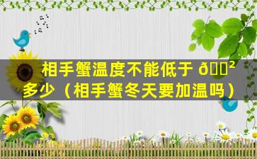 相手蟹温度不能低于 🌲 多少（相手蟹冬天要加温吗）